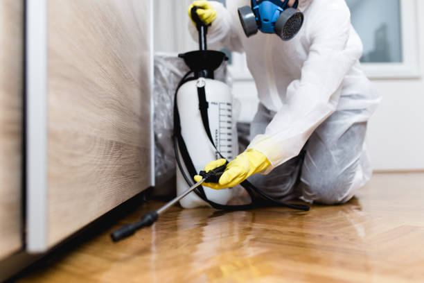  Middle River, MD Pest Control Pros