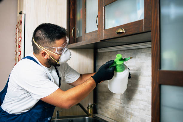 Best Rat Extermination Near Me  in Middle River, MD