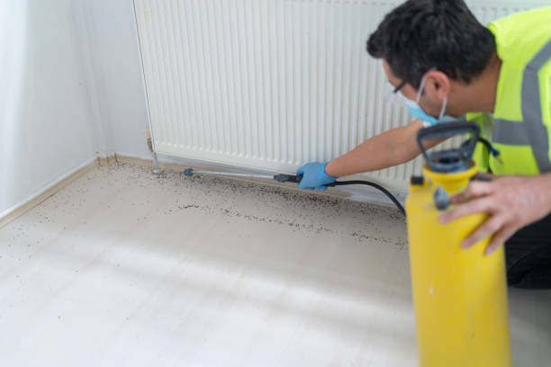 Best Best Pest Control Companies  in Middle River, MD